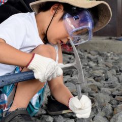 2022年の化石発掘体験　大感謝祭！