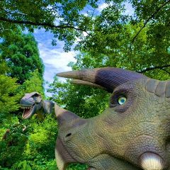 かつやまディノパーク　恐竜ゾーン　営業時間延長！