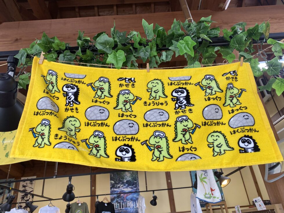 ディノウォーク　グッズ FPDM MUSEUM SHOP 福井県立恐竜博物館ミュージアムショップ