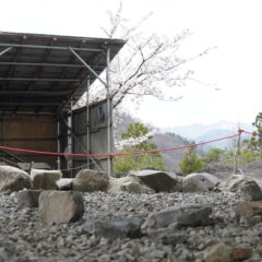 【7/14　恐竜博物館開館記念日】