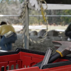 【5/10　地質の日】